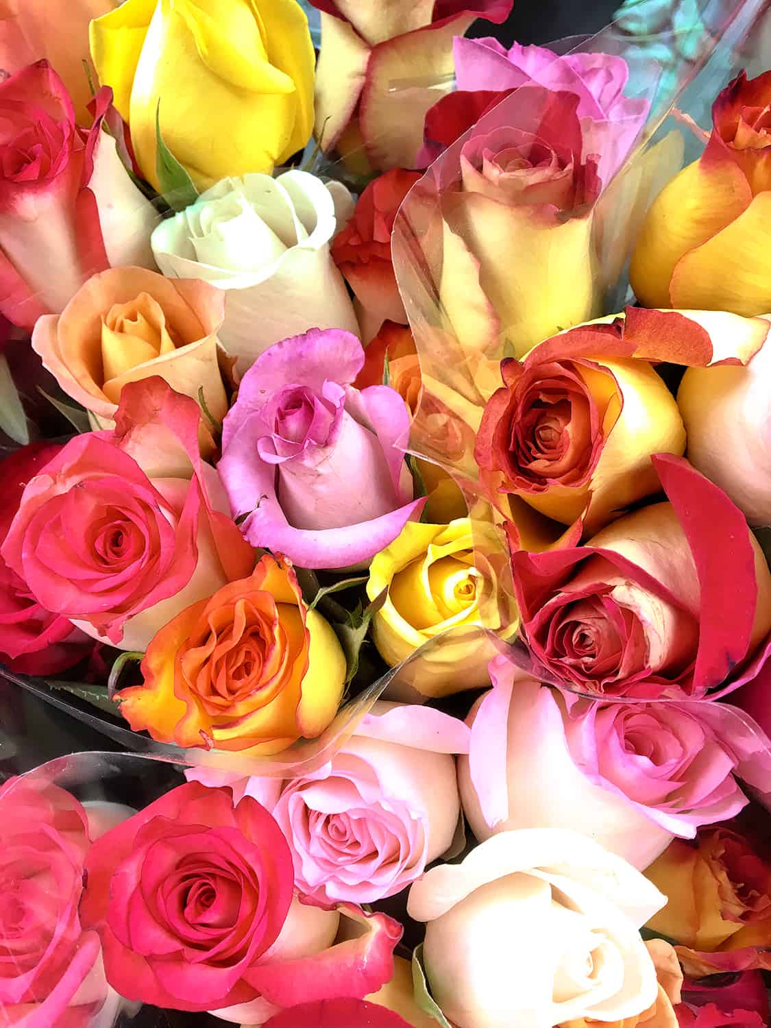 red, pink and yellow roses bundled