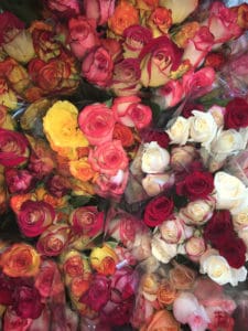top view of yellow, white, red and pink roses